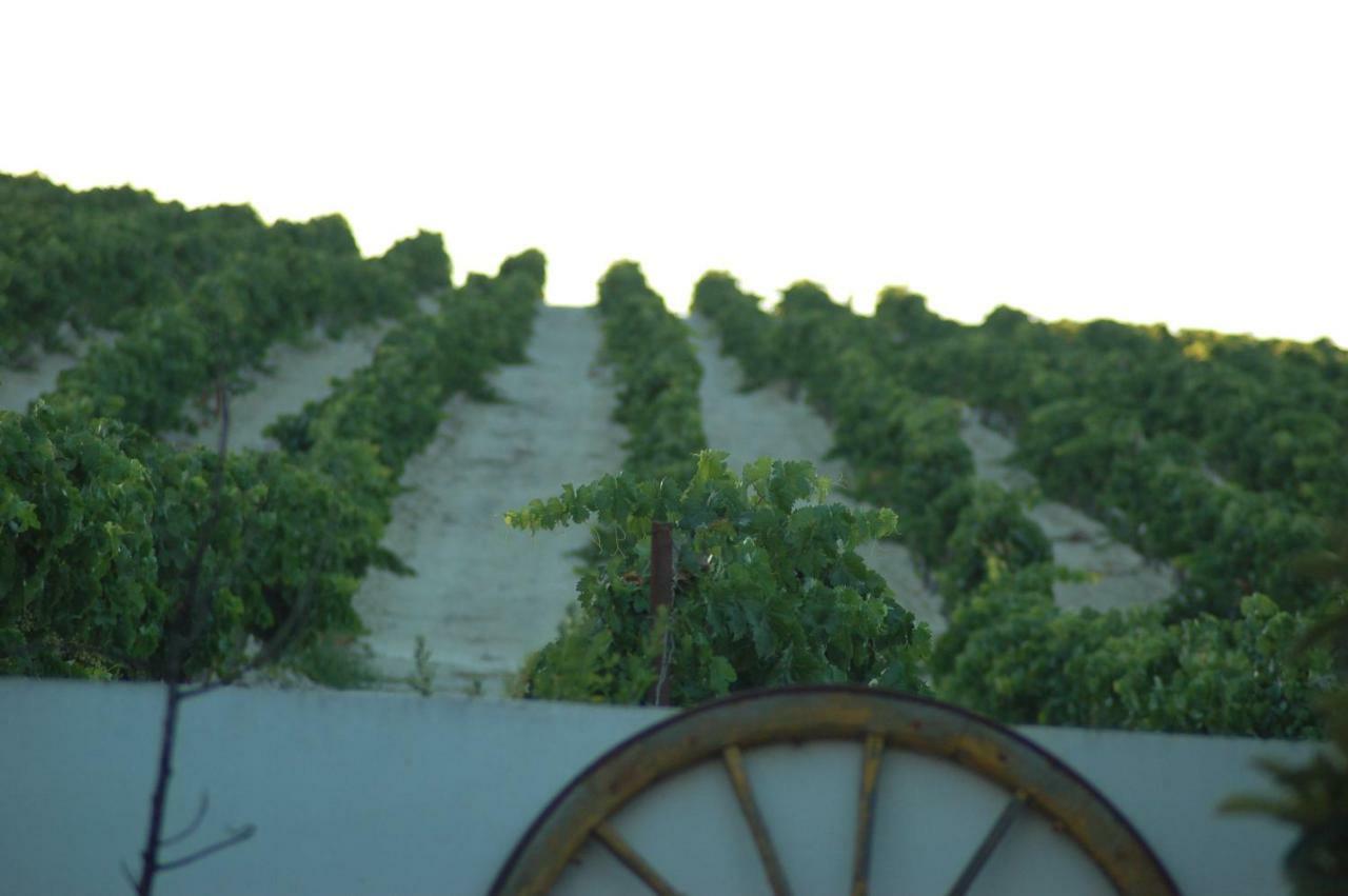 Jerez Vina Santa Petronila Pensionat Jerez de la Frontera Exteriör bild