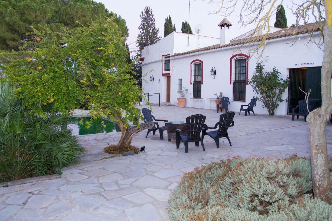 Jerez Vina Santa Petronila Pensionat Jerez de la Frontera Exteriör bild